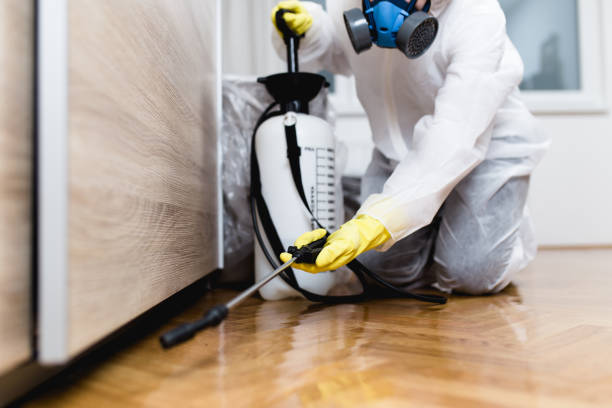 Pest Control for Restaurants in Killeen, TX