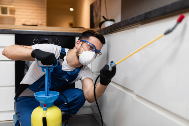 Best Mosquito Control Services  in Killeen, TX