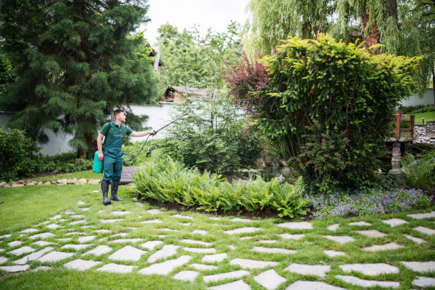Best Best Pest Control Companies  in Killeen, TX