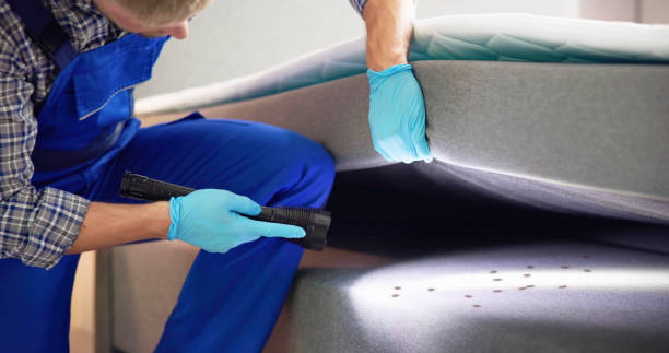 Reliable Killeen, TX Pest Control Solutions