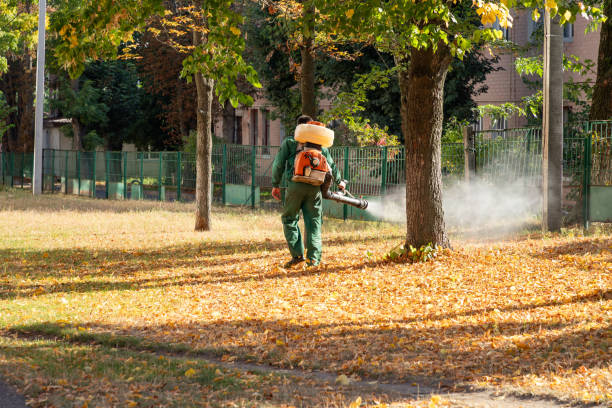 Best Ant Control Services  in Killeen, TX