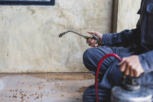 Best Emergency Pest Control  in Killeen, TX